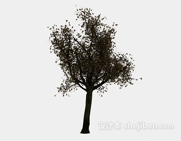 免费枫叶树3d模型下载
