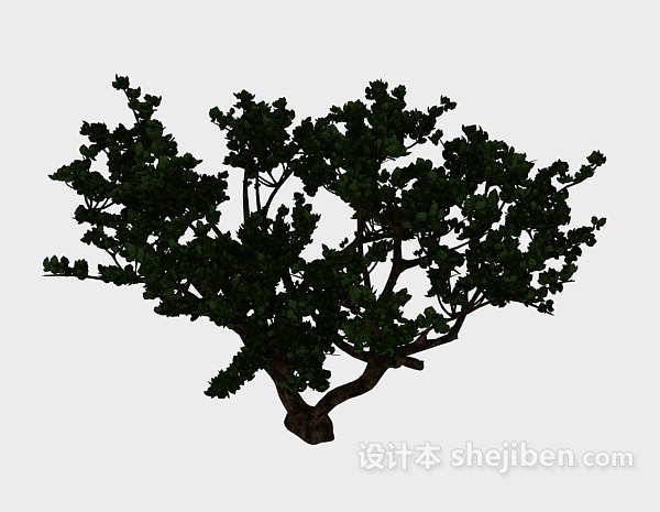 实木古树3d模型下载