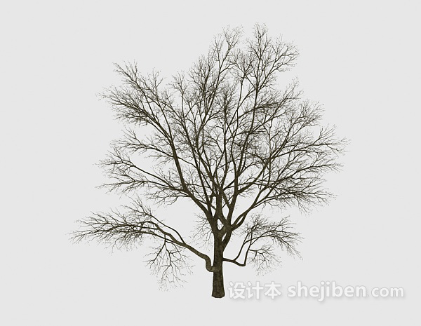 免费室外树木3d模型下载