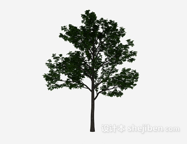 设计本庭院绿植树3d模型下载
