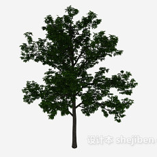 庭院绿植树3d模型下载