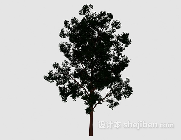 设计本森林大树3d模型下载