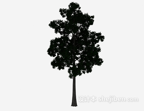 设计本室外大树3d模型下载
