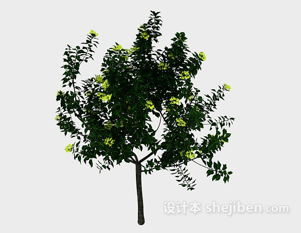 绿色室外植株3d模型下载