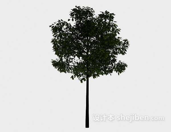 现代风格庭院树3d模型下载