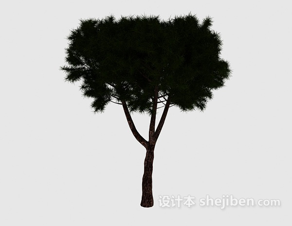 现代风格矮松树3d模型下载