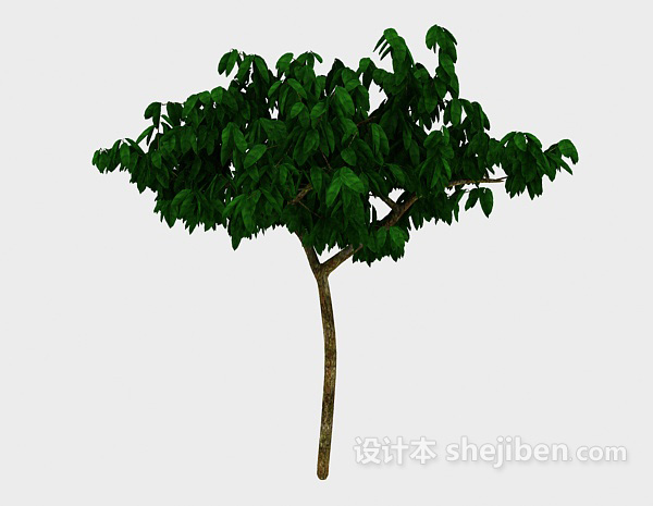 设计本常见果树3d模型下载