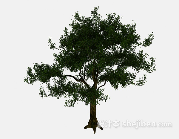 设计本公园大树3d模型下载