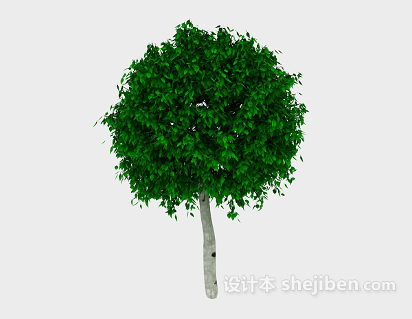 免费圆形绿树3d模型下载