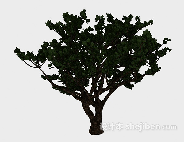 现代风格实木古树3d模型下载