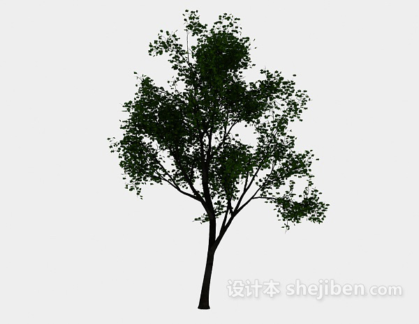 设计本植树3d模型下载