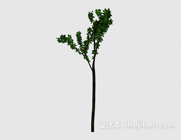 现代风格小绿树3d模型下载