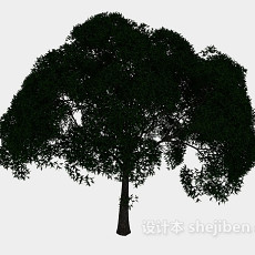 阔叶树3d模型下载