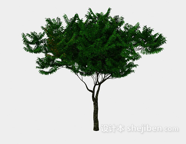 免费室外绿色植树3d模型下载