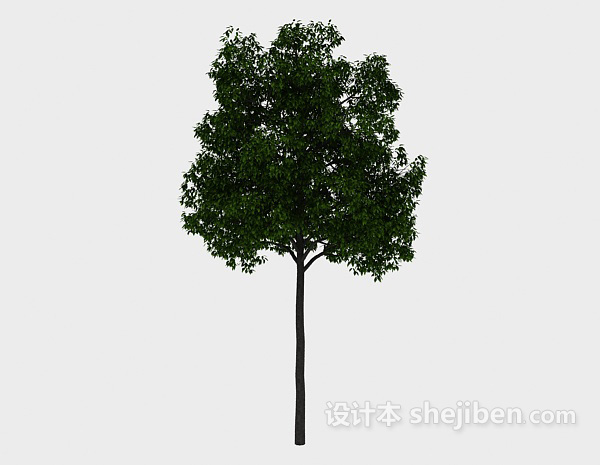 现代风格园林高树3d模型下载