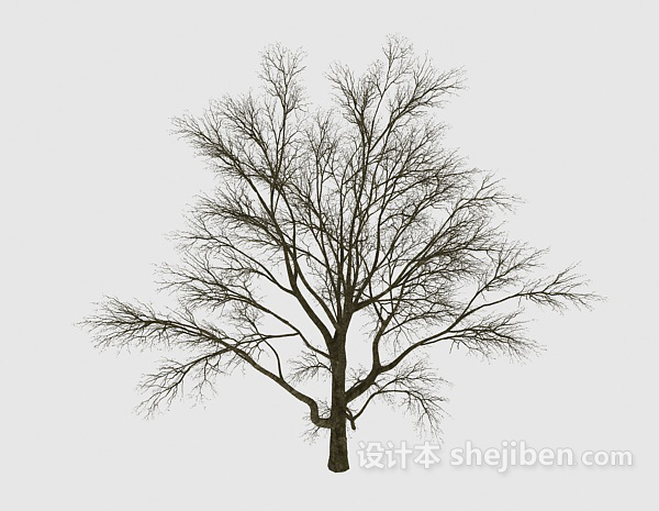 设计本室外树木3d模型下载