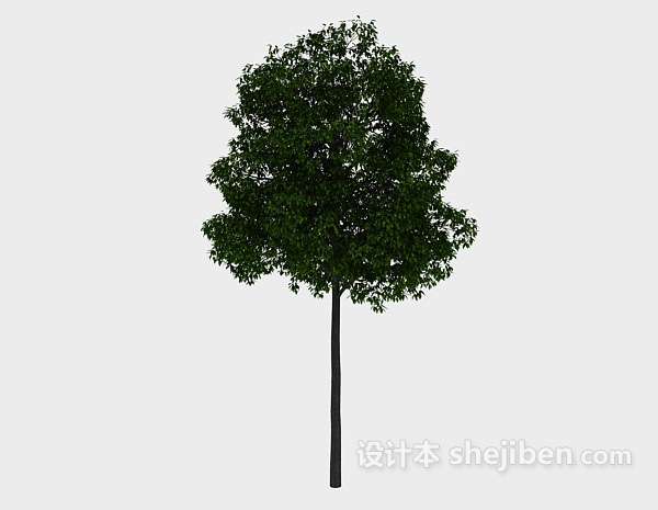 免费园林高树3d模型下载