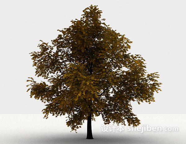 免费室外植物枫树3d模型下载