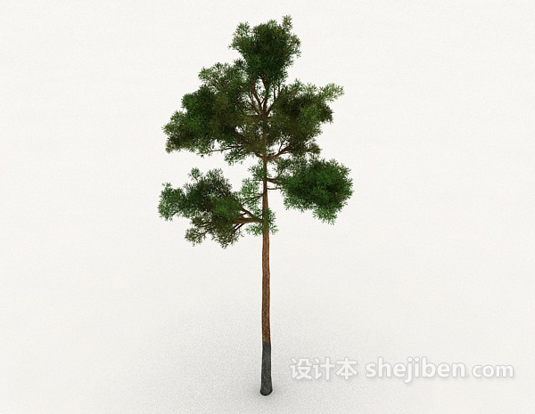 室外树3d模型下载