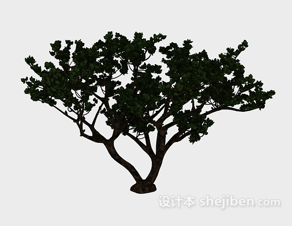设计本实木古树3d模型下载