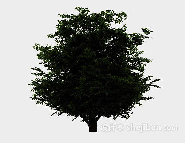 免费湖边大植树3d模型下载