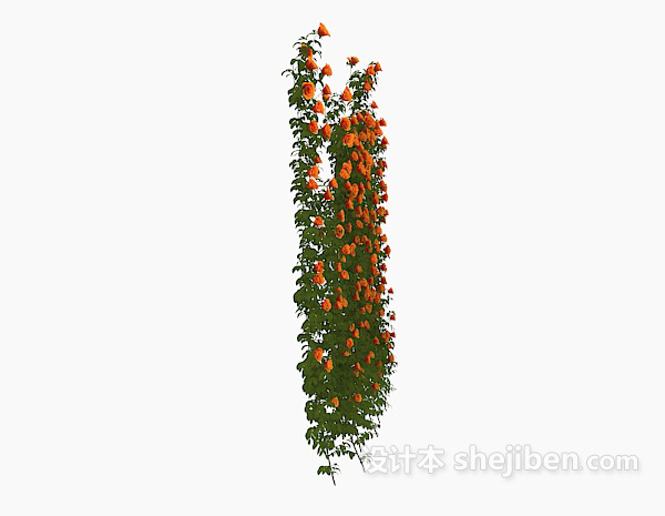 设计本室外观赏性花卉3d模型下载