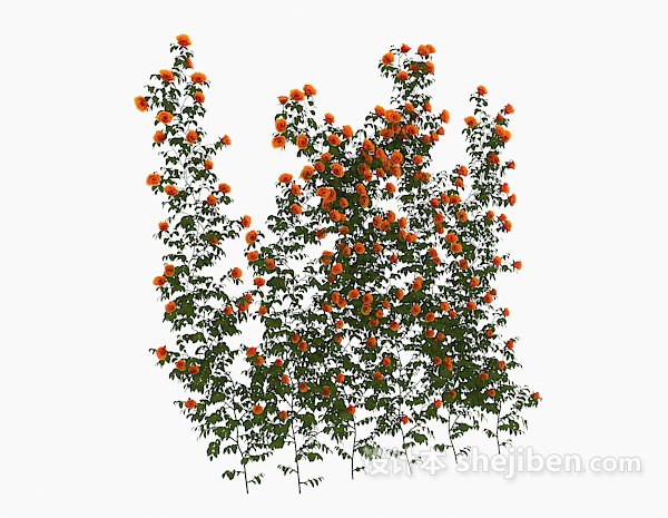现代风格室外观赏性花卉3d模型下载