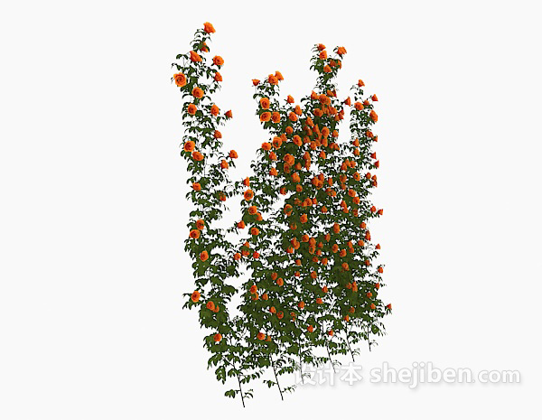 免费室外观赏性花卉3d模型下载