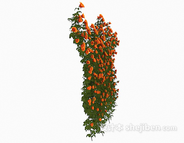设计本室外常见开花植物3d模型下载