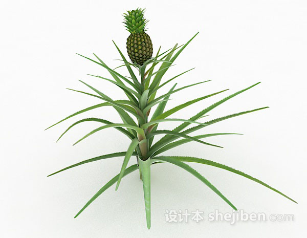 现代风格绿色室外植物3d模型下载