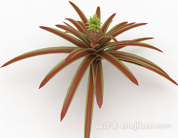 免费红色室外植物3d模型下载