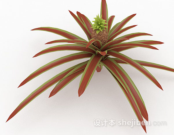 设计本红色室外植物3d模型下载