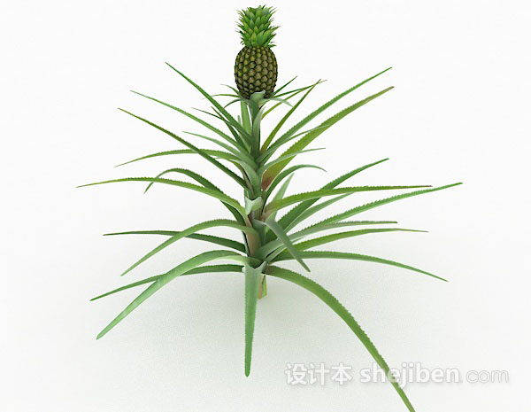 免费绿色室外植物3d模型下载