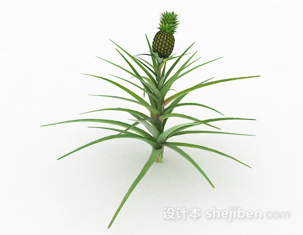 设计本绿色室外植物3d模型下载