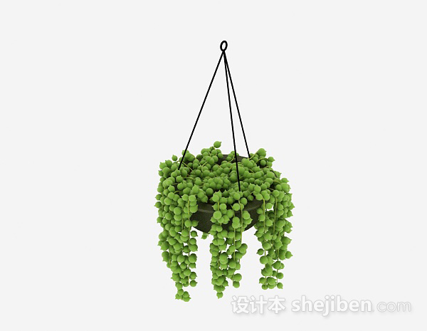 绿色挂篮植物3d模型下载