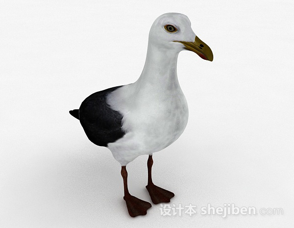 灰白双色鸟类3D模型