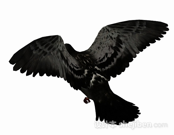 设计本黑色鸽子3d模型下载