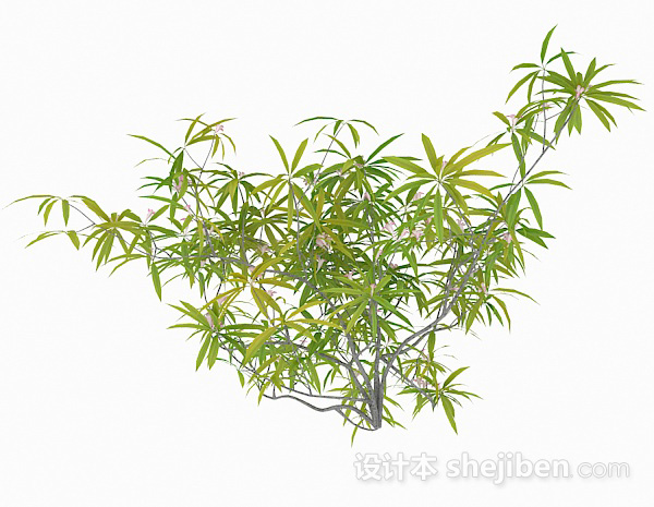免费嫩黄色长型细叶植物3d模型下载