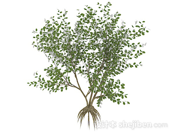 椭圆形小叶字灌木树3d模型下载