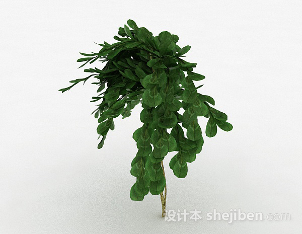 免费倒卵形树叶景观植物3d模型下载