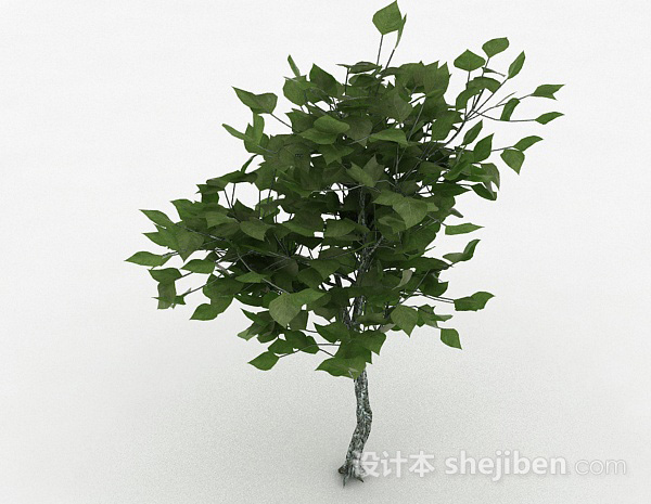 绿色树叶观赏植物3d模型下载