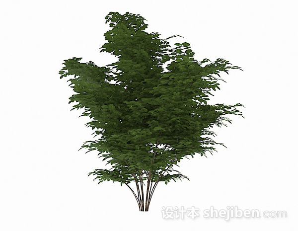 设计本绿色椭圆形叶子灌木3d模型下载