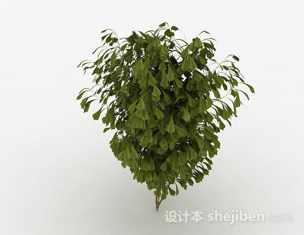 观赏型灌木3d模型下载