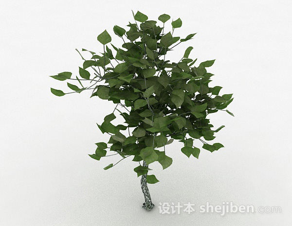 设计本绿色树叶观赏植物3d模型下载