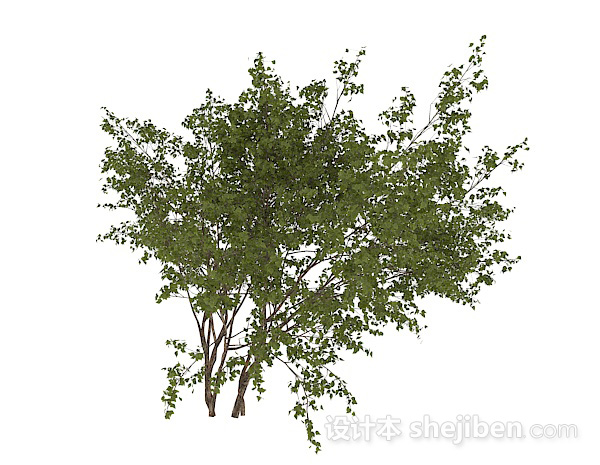 设计本圆形小树叶灌木丛3d模型下载