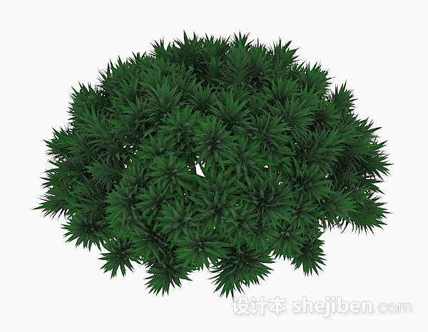 针状绿色植物3d模型下载
