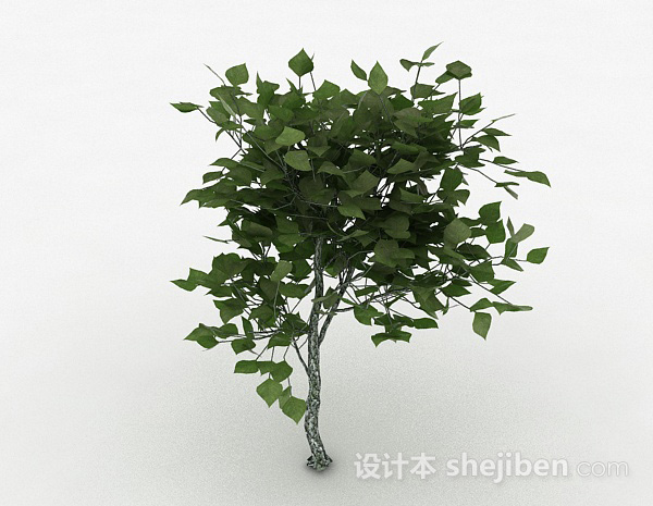 设计本绿色椭圆形树叶观赏植物3d模型下载