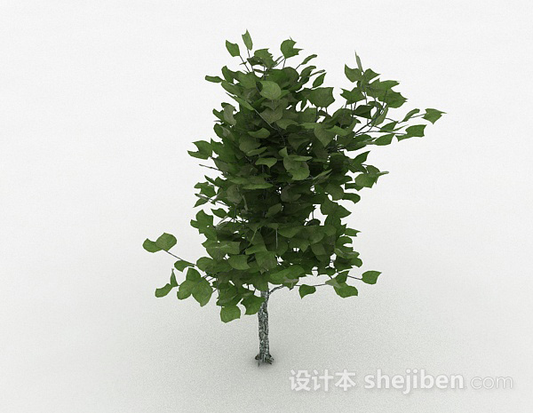 绿色椭圆形树叶植物3d模型下载