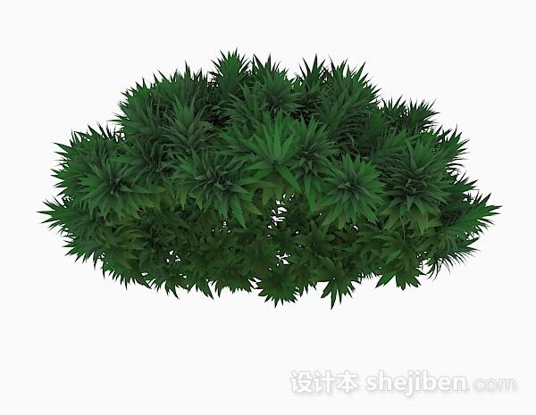 现代风格针状绿色植物3d模型下载