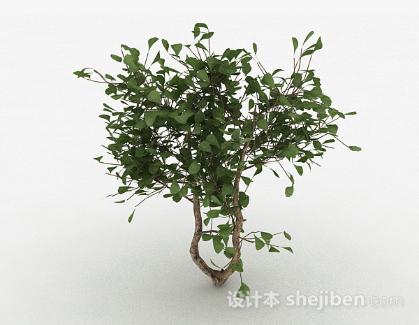 圆形树叶家庭观赏型树3d模型下载